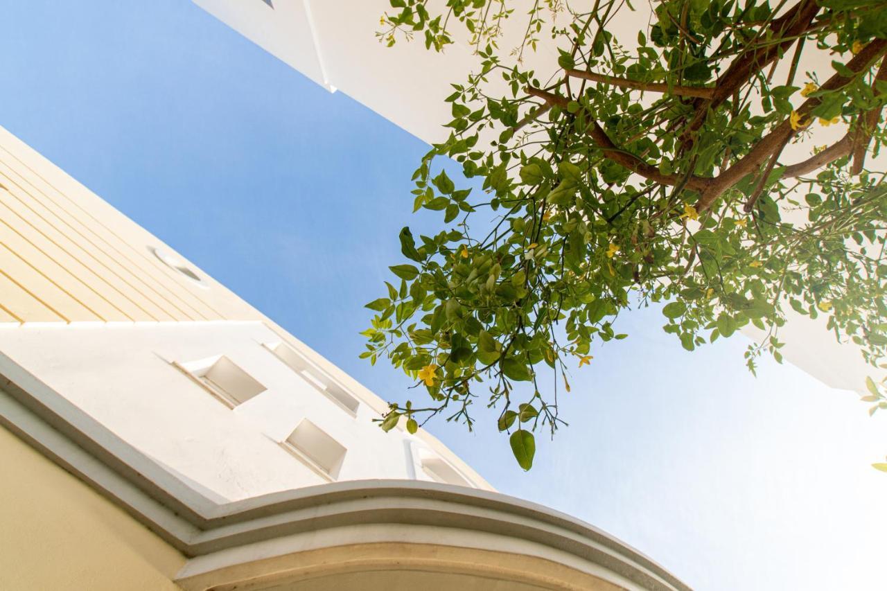 Diamante Beachfront Suites Xylokastro Exteriér fotografie
